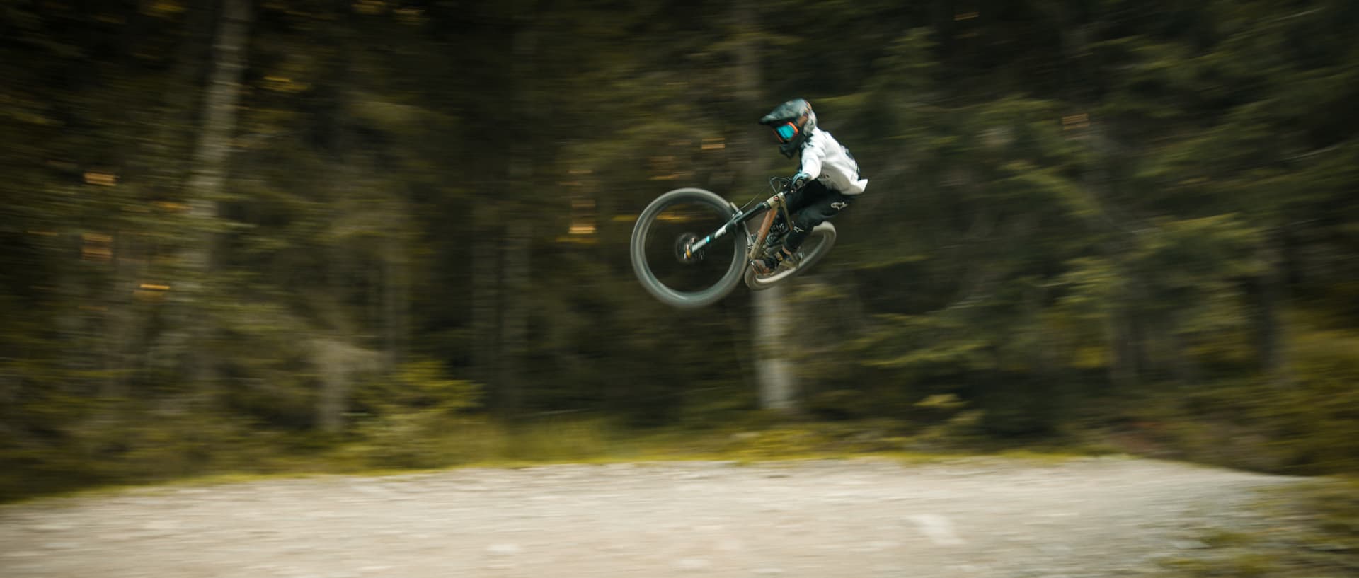 BACK TO THE SHREDDITS